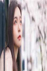 tube3d动漫