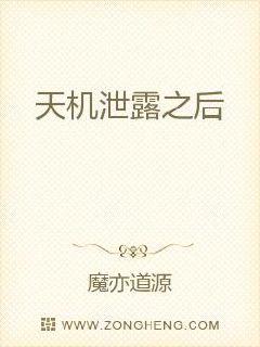 电视剧《雪豹》全集免费