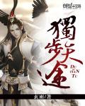 虚有其表i车百度云完整