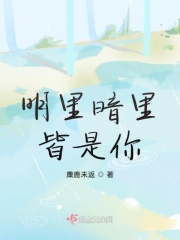 公测