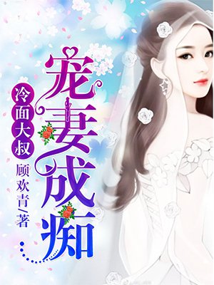 雷电将军本子