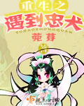 韩国r电影在线观看
