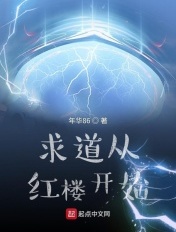 2024视频在线观看最新