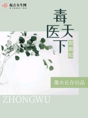 娱乐天王系统