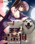 无颜之月动漫免费