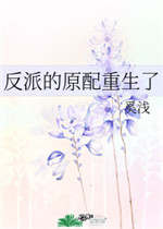 成免费crm