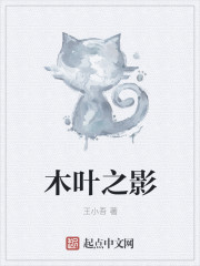美国骗局