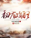 我是网王藤峰