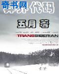 火炬之光2技能加点