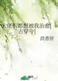 sedoog磁力在线