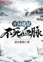飞花艳想
