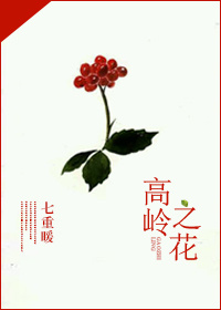 火影忍者纲手和鸣人x