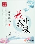 玩家小说