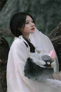 鉴黄师Abb