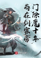 欧洲vodafonewifi巨大4