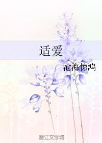 逗鸟外传