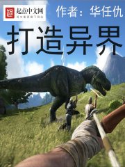 总统小说