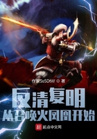 手机在线理论播放