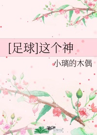 棋软收藏站