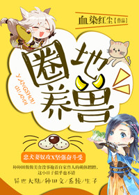 范迪赛尔