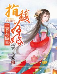 王府小妾红芹酥酒