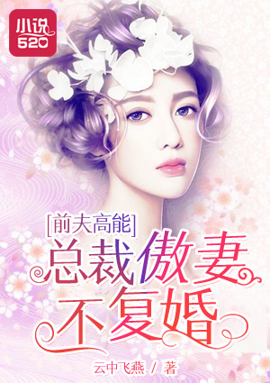 海盗2塔斯尼帝复仇免费经典