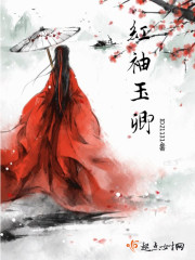荷兰砖