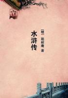 猫惑by芝麻糖丸