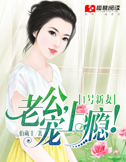 混乱的娱乐圈小说