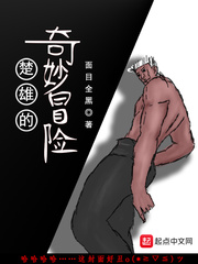 我是一个贼无删减版
