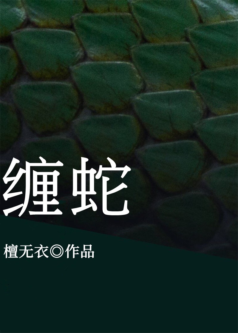 耽美文肉文