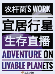 木府传奇