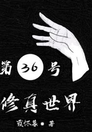 报恩的猫