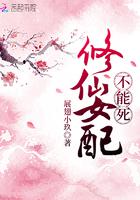 风流神雕侠侣小说