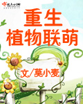 秋霞在线观看秋手机版免费
