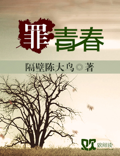 老局长恋老小说全集