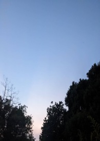 黑马视频