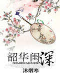 明星女奴小说目录