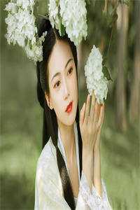 无翼少无翼恶女动漫全彩大全