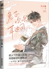 办公室风雨完整小说