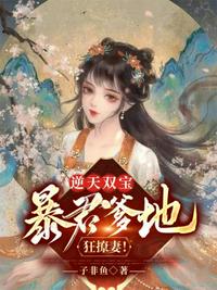傲世龙少