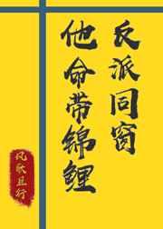 三毛流浪记小说