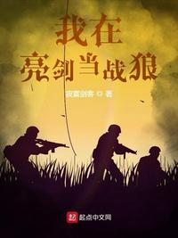 类似战恋雪的高辣宠文