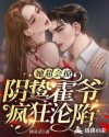 你是我的荣耀免费看