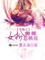 延禧攻略百度云