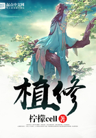 交专区
