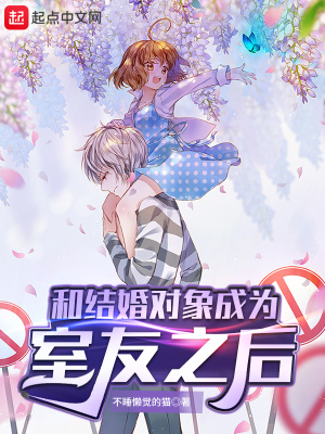才子佳人小说