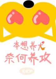 风中有朵雨做的云无删减资源