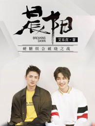 爱唯侦察dvd