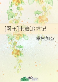 花香飘满衣小说